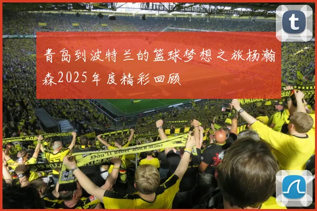 青岛到波特兰的篮球梦想之旅杨瀚森2025年度精彩回顾
