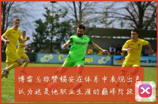 博雷戈称赞锡安在体系中表现出色认为这是他职业生涯的巅峰阶段